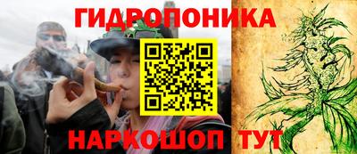 МДМА Камышлов